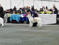 Merlin & Anna - Marie